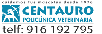 Veterinario Alcorcon :: Primera CONSULTA CACHORROS GRATIS